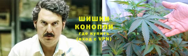 мдпв Волоколамск