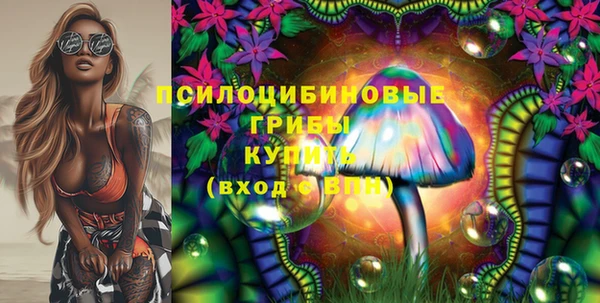 мдпв Волоколамск