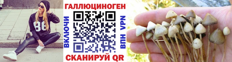 купить  сайты  Пятигорск  Галлюциногенные грибы GOLDEN TEACHER 